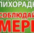 О профилактике геморрагической лихорадки с почечным синдромом в осенний период - Советский район