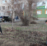 Субботник по высадке деревьев - Советский район