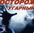 Угарный газ: профилактика отравления и первая помощь - Советский район