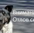 Уважаемые жители Советского муниципального района! - Советский район
