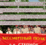 Приглашаем принять участие во Всероссийской акции «Бессмертный полк» - Управление образования