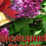 Поздравление начальника управления образования Татьяна Овтина - Управление образования