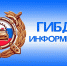 «Новогодний автобус 2022-2023». - Советский район