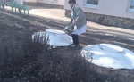 Субботник