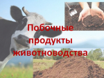 Информирование