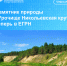 Памятник природы «Урочище Никольевская круча» теперь в ЕГРН - Советский район