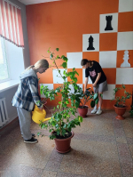 Трудоустройство подростков