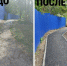 Администрация района продолжает обрабатывать сообщения жителей через систему «Платформа обратной связи» - Советский район