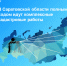 В Саратовской области полным ходом идут  комплексные кадастровые работы - Советский район