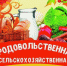Ярмарка выходного дня.. - Советский район