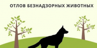 Уважаемые жители Советского муниципального района! - Советский район
