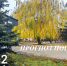 Прогноз погоды - Советский район