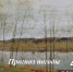 Прогноз погоды - Советский район