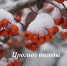Прогноз погоды - Советский район