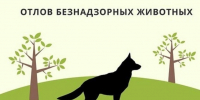 На территории Советского муниципального района будет осуществляться отлов животных без владельцев - Советский район