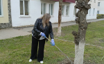 В рамках работы администрации Советского Муниципального района проведен субботник
