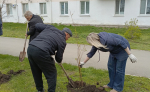 В рамках работы администрации Советского Муниципального района проведен субботник